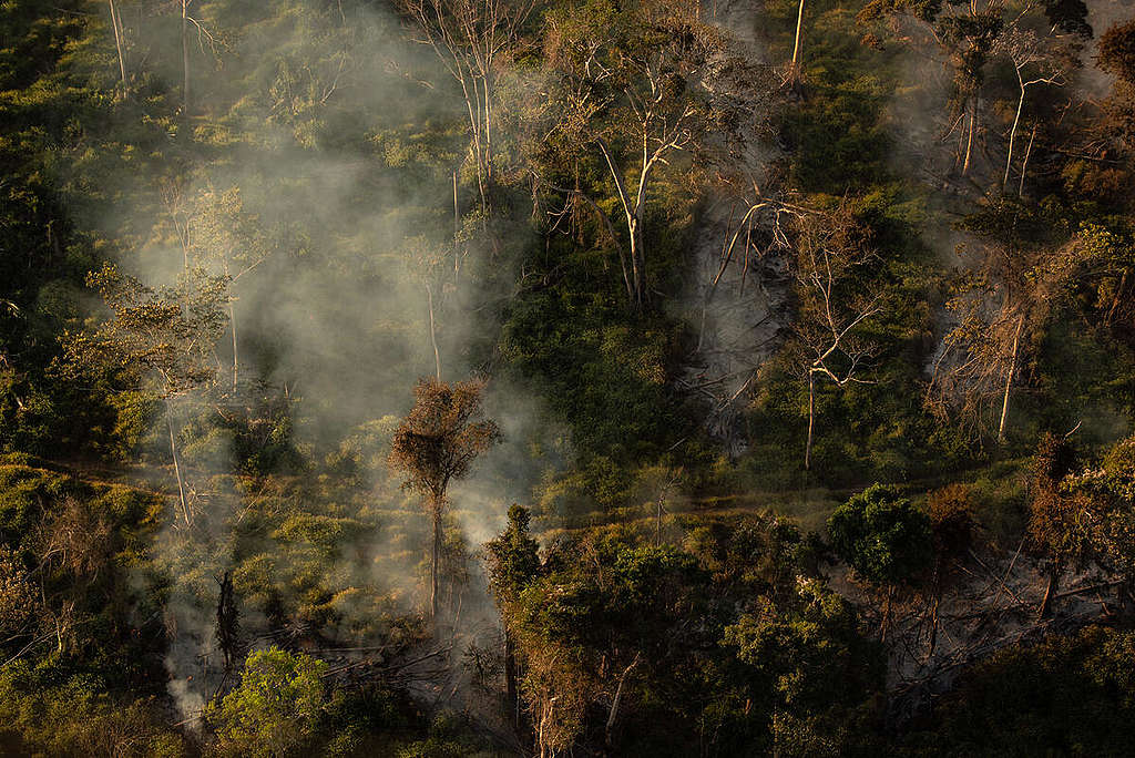 Amazônia tem segundo maior número de alertas de desmatamento da série do Deter-B