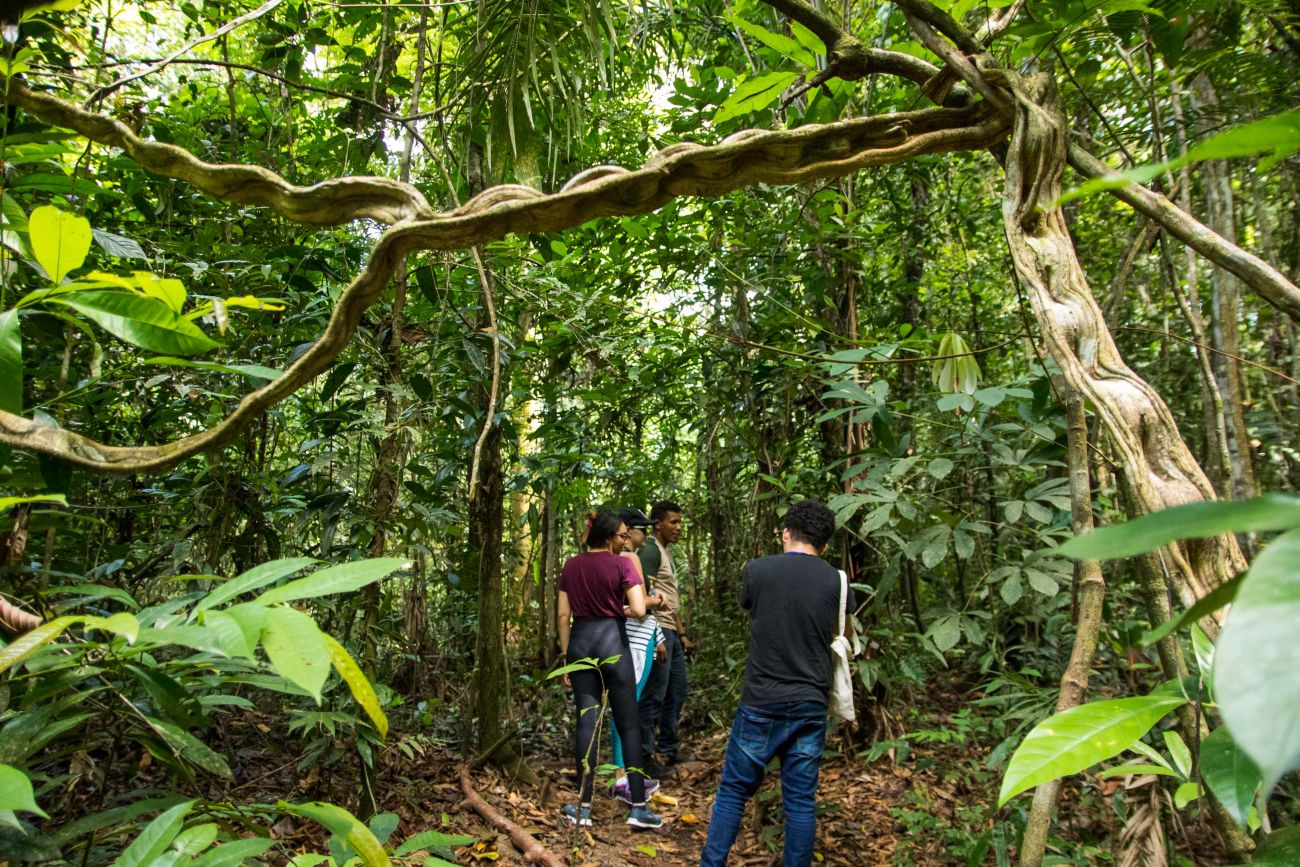 Pará terá novos voos regionais, nacionais e internacionais pela